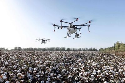 Cotton Posts Monday Gains, as Ratings Slip
